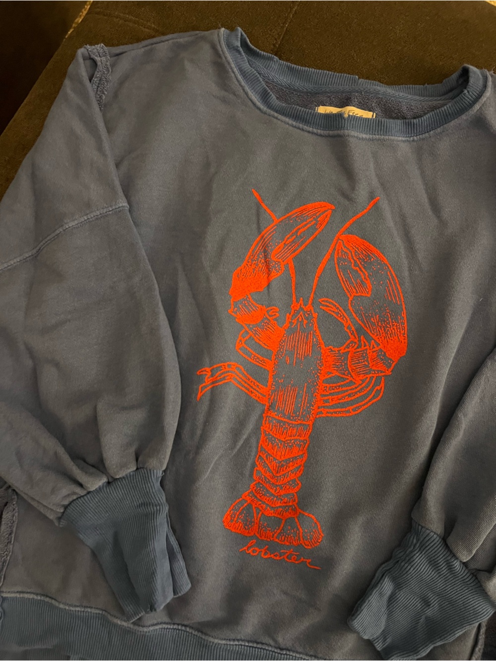 We The Free Lobster Graphic Camden Pullover - Picture 4 of 7